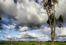 魔力宝贝：PK盛宴，谁是真正王者？