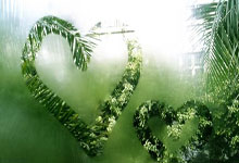 魔力宝贝：剧情任务背后的感人故事！