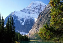 魔力宝贝：开启奇幻异世界的冒险大门！