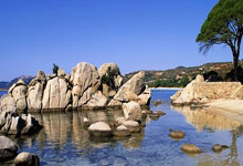 从0到1：零基础玩转魔力宝贝