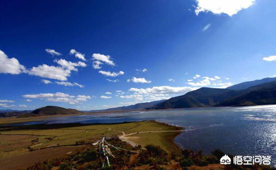 小程序和网站该先做哪个?80% 的企业都选错了顺序 小程序和网站该先做哪个?80% 的企业都选错了顺序