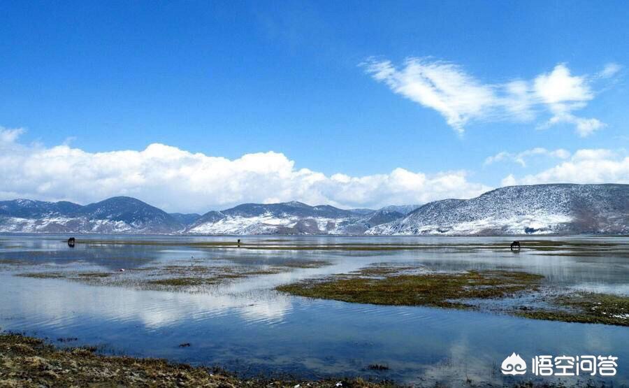 小程序和网站该先做哪个?80% 的企业都选错了顺序 小程序和网站该先做哪个?80% 的企业都选错了顺序