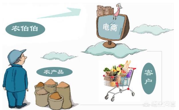 农产品电商网站设计：土味包装 vs 国潮风，哪种更卖货？