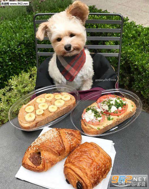 网站建设最容易踩的 20 个坑！90% 的人栽在第 3 条