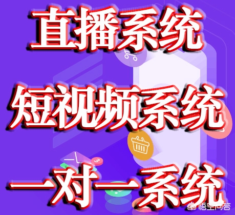 企业官网 vs 小程序 vsAPP:到底该先做哪个?(附成本对比表) 企业官网 vs 小程序 vsAPP:到底该先做哪个?(附成本对比表)